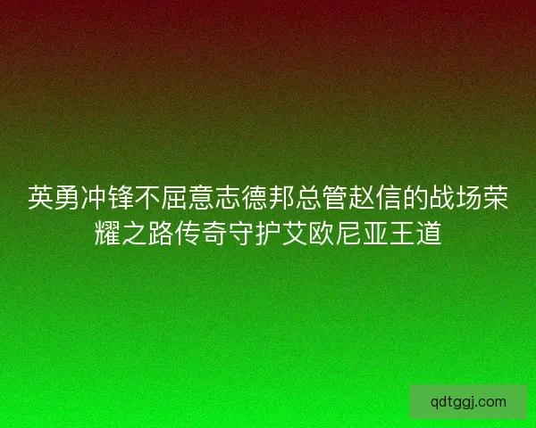 英勇冲锋不屈意志德邦总管赵信的战场荣耀之路传奇守护艾欧尼亚王道