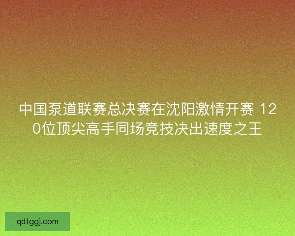 中国泵道联赛总决赛在沈阳激情开赛 120位顶尖高手同场竞技决出速度之王